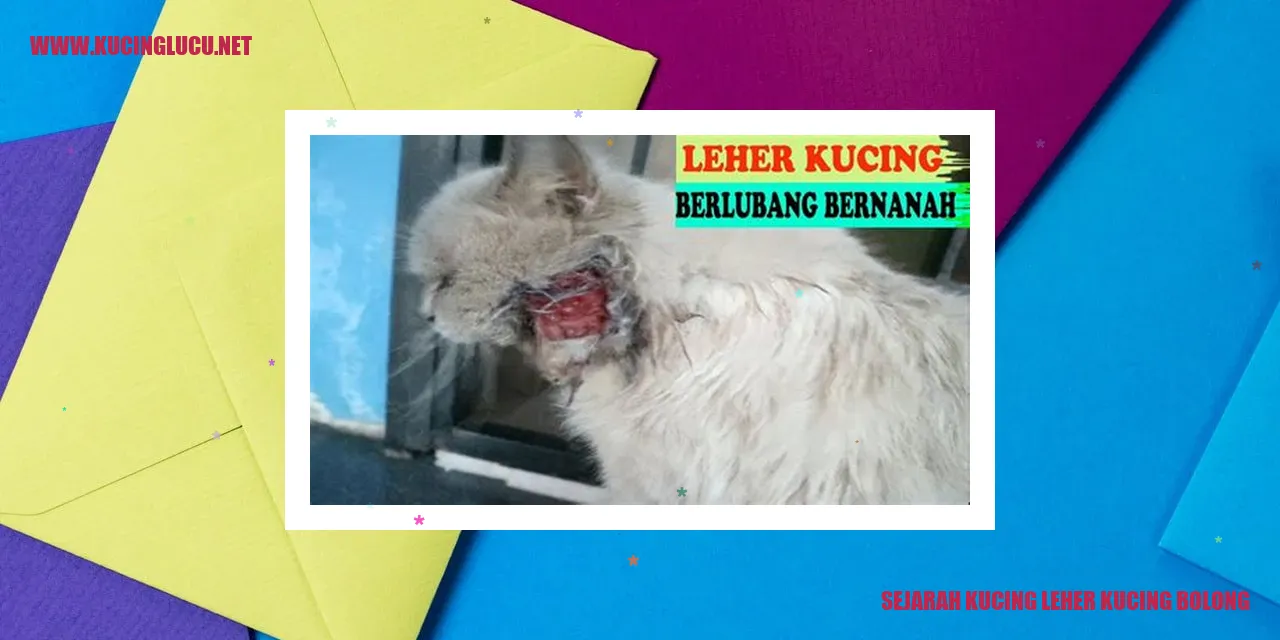 Kucing Leher Kucing Bolong
