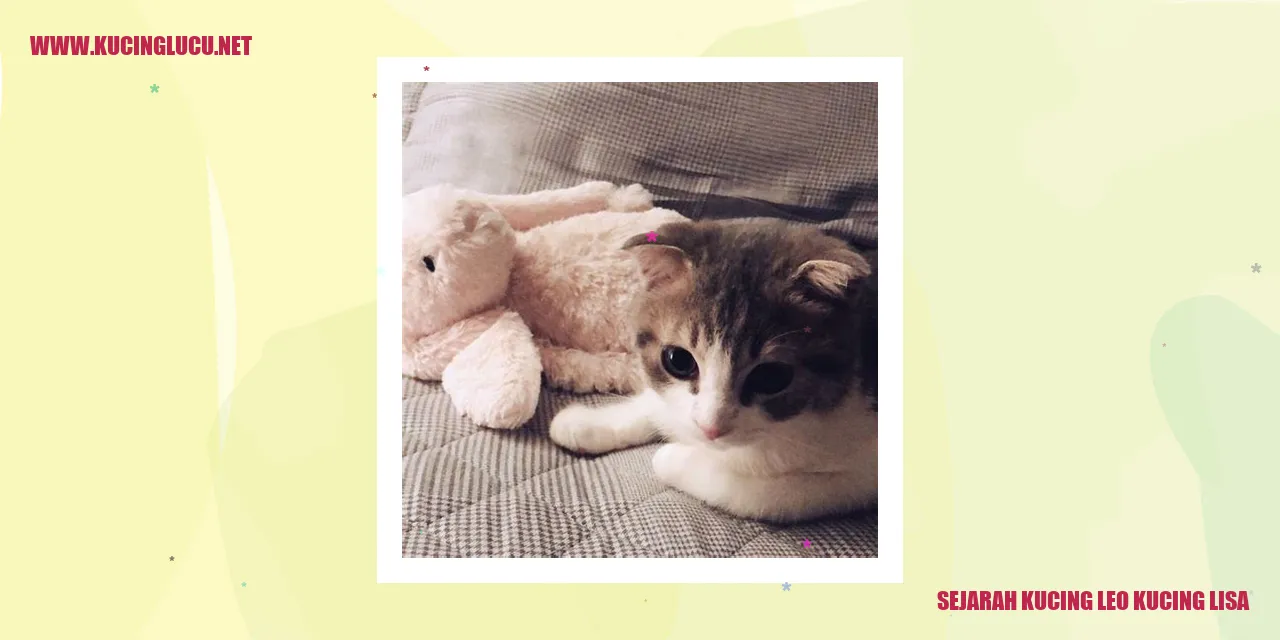 Gambar Kucing Leo dan Kucing Lisa