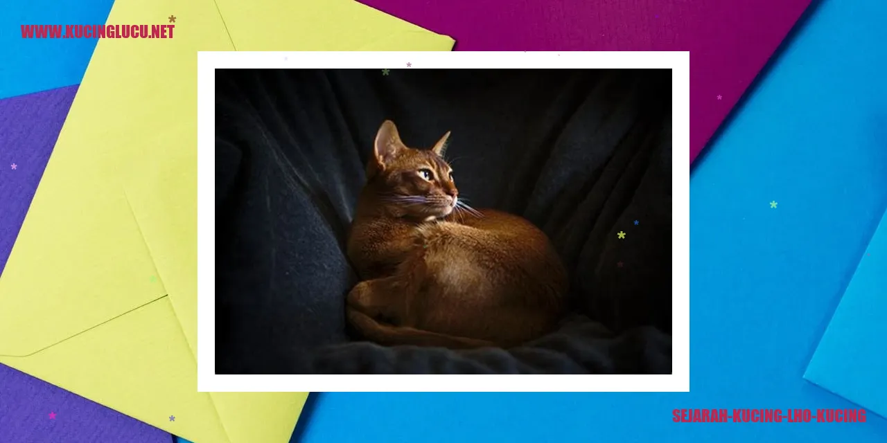 Sejarah Kucing