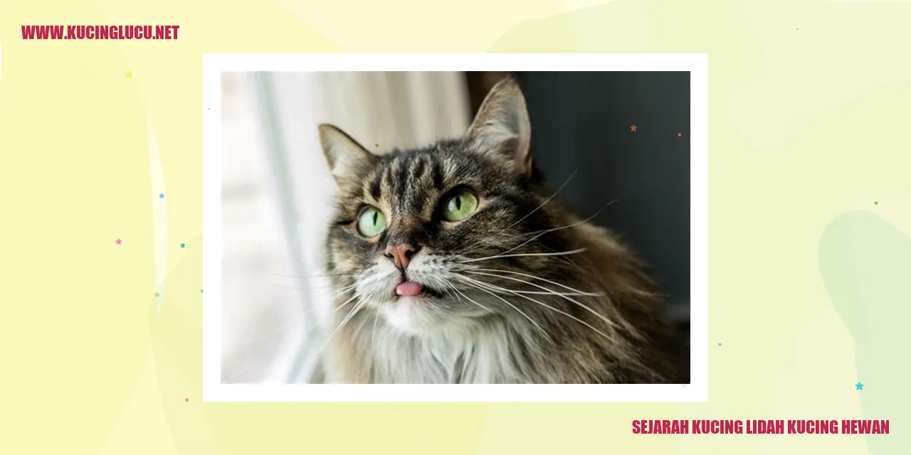 Sejarah Kucing lidah kucing hewan