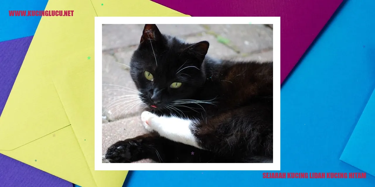 Gambar Kucing Lidah Kucing Hitam