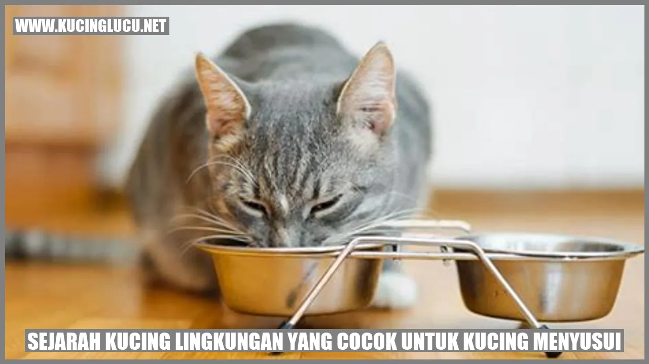 Sejarah Kucing lingkungan yang cocok untuk kucing menyusui