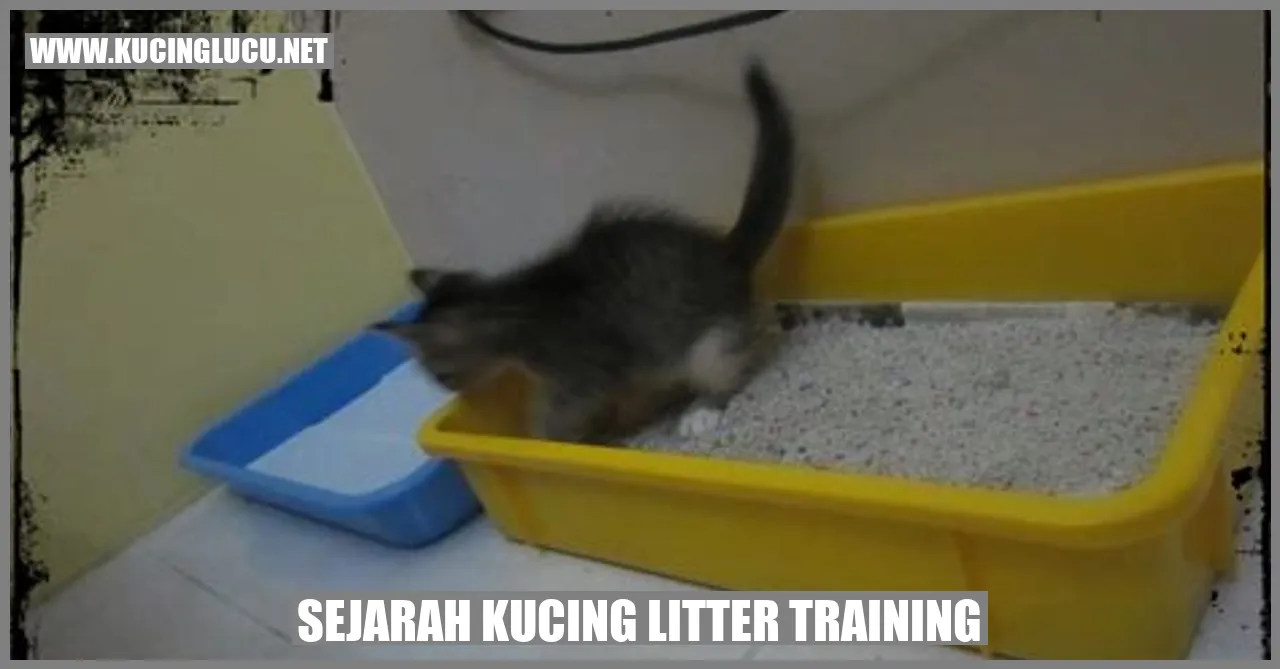 Sejarah Kucing Litter Training