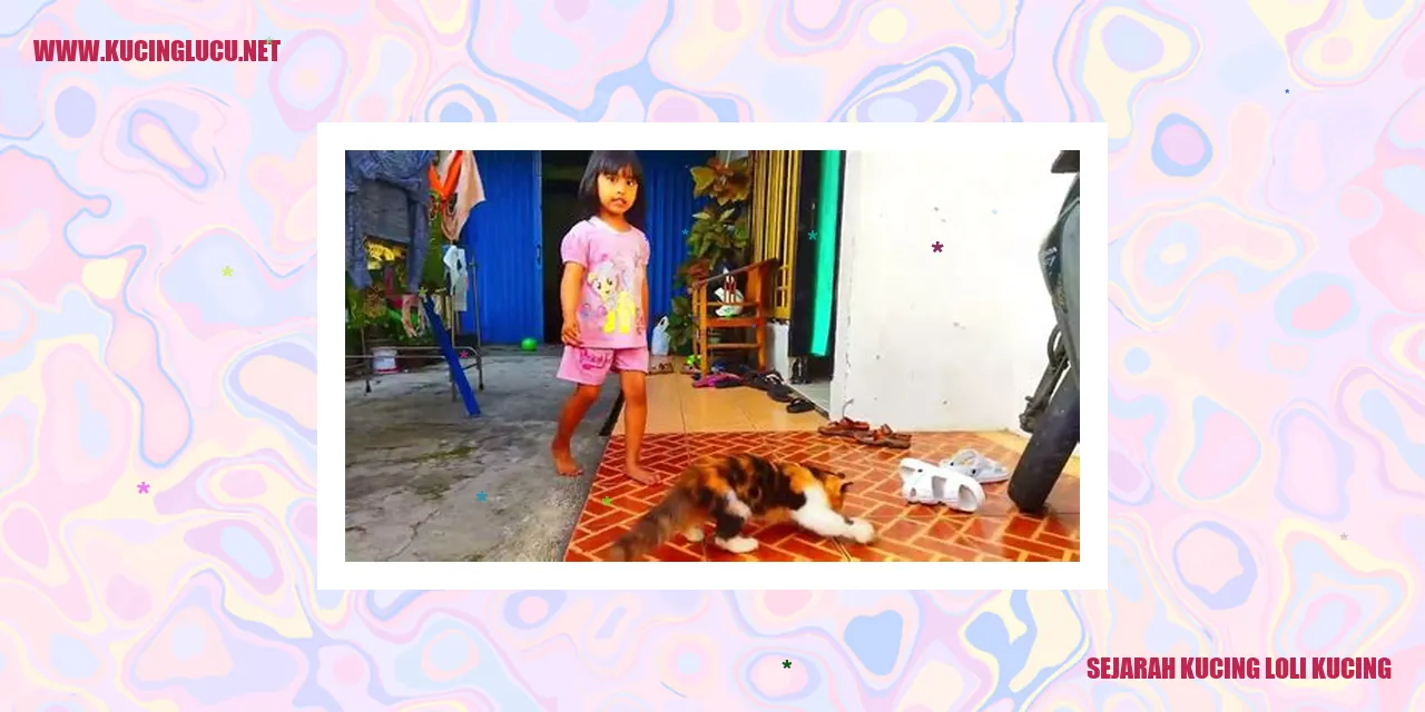 Sejarah Kucing Loli Kucing