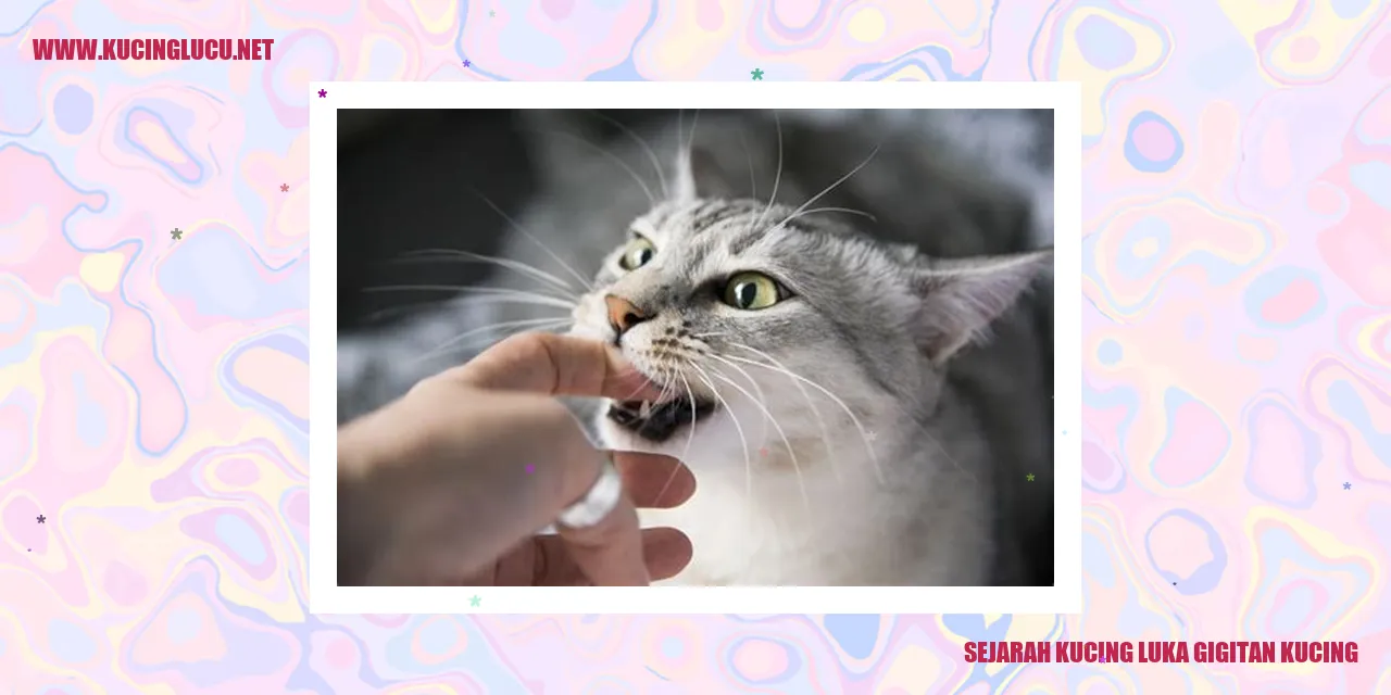 Sejarah Kucing luka gigitan kucing