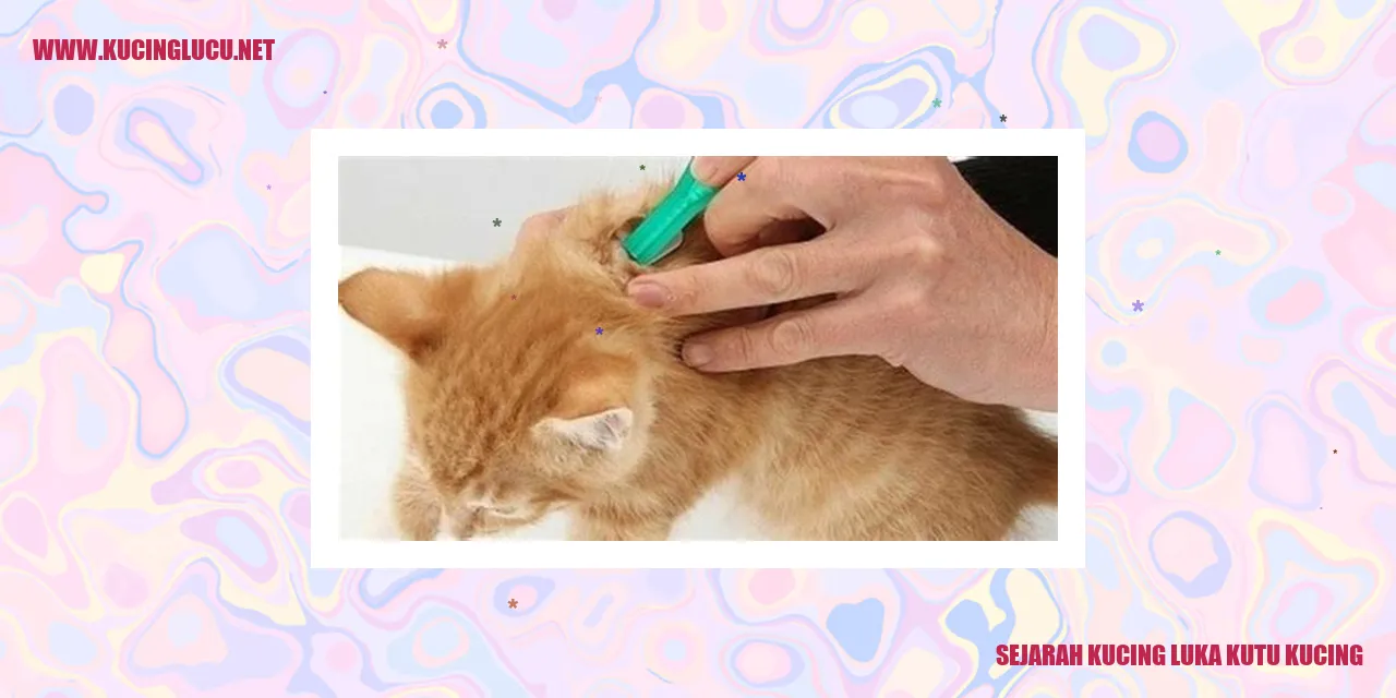 Sejarah Kucing Luka Kutu Kucing