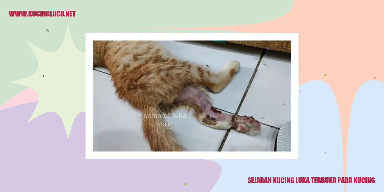 Luka terbuka pada kucing