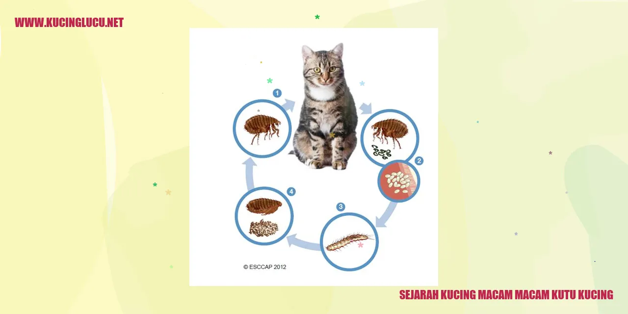 Ilustrasi Kucing dan Kutu Kucing