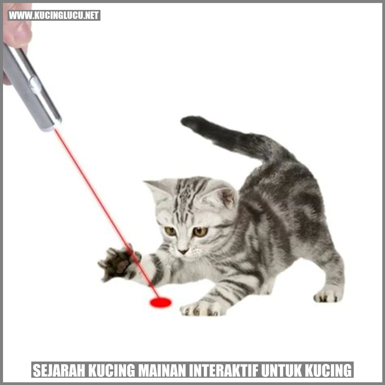 Gambar kucing mainan interaktif
