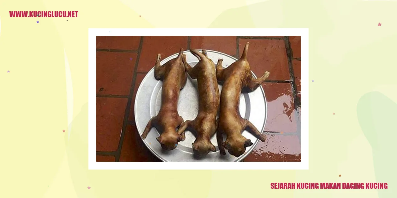 Sejarah Kucing makan daging kucing