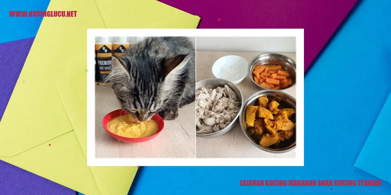Gambar Makanan Anak Kucing
