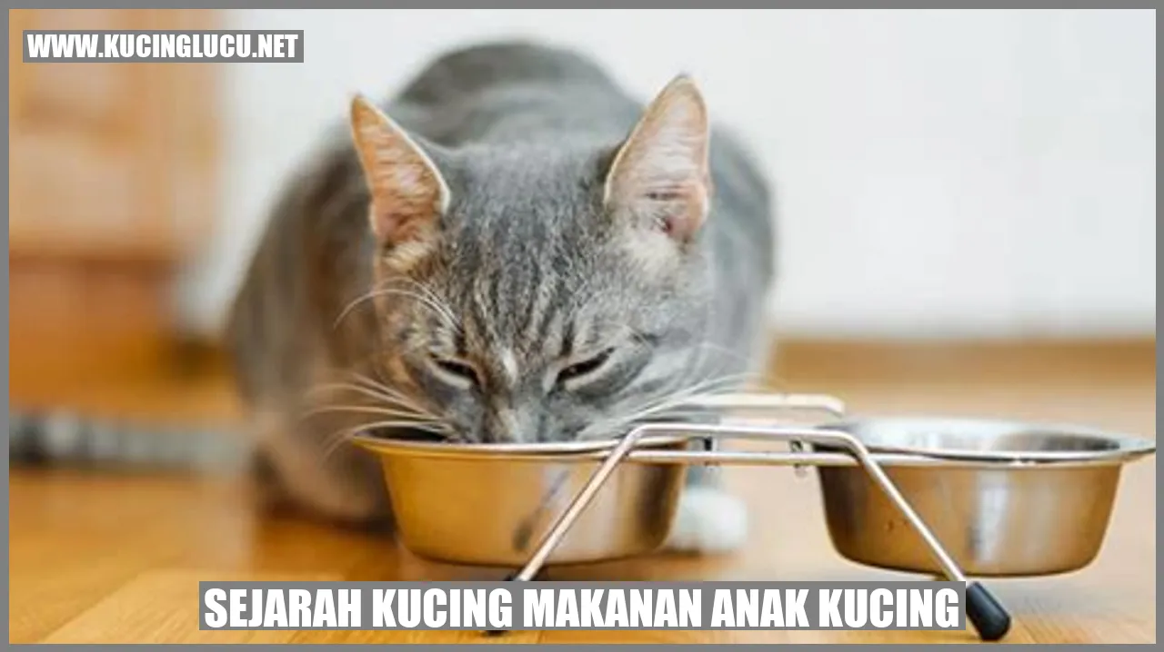 Sejarah Kucing Makanan Anak Kucing