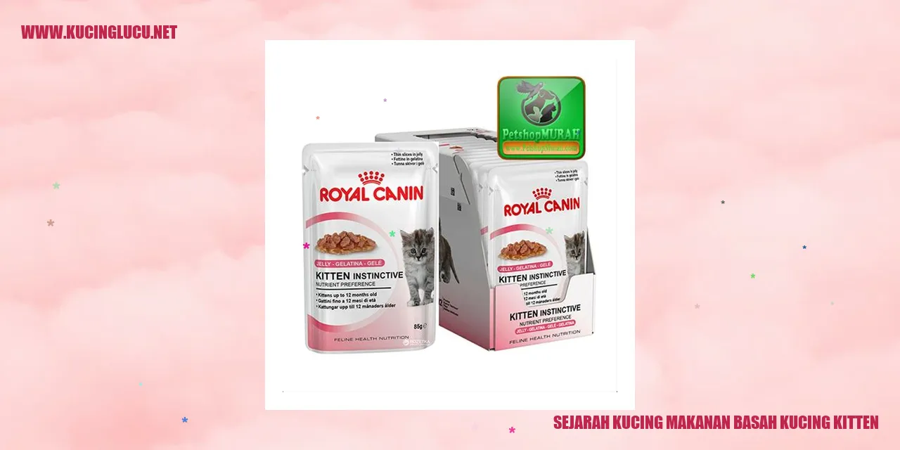 Gambar Kucing Makanan Basah Kucing Kitten