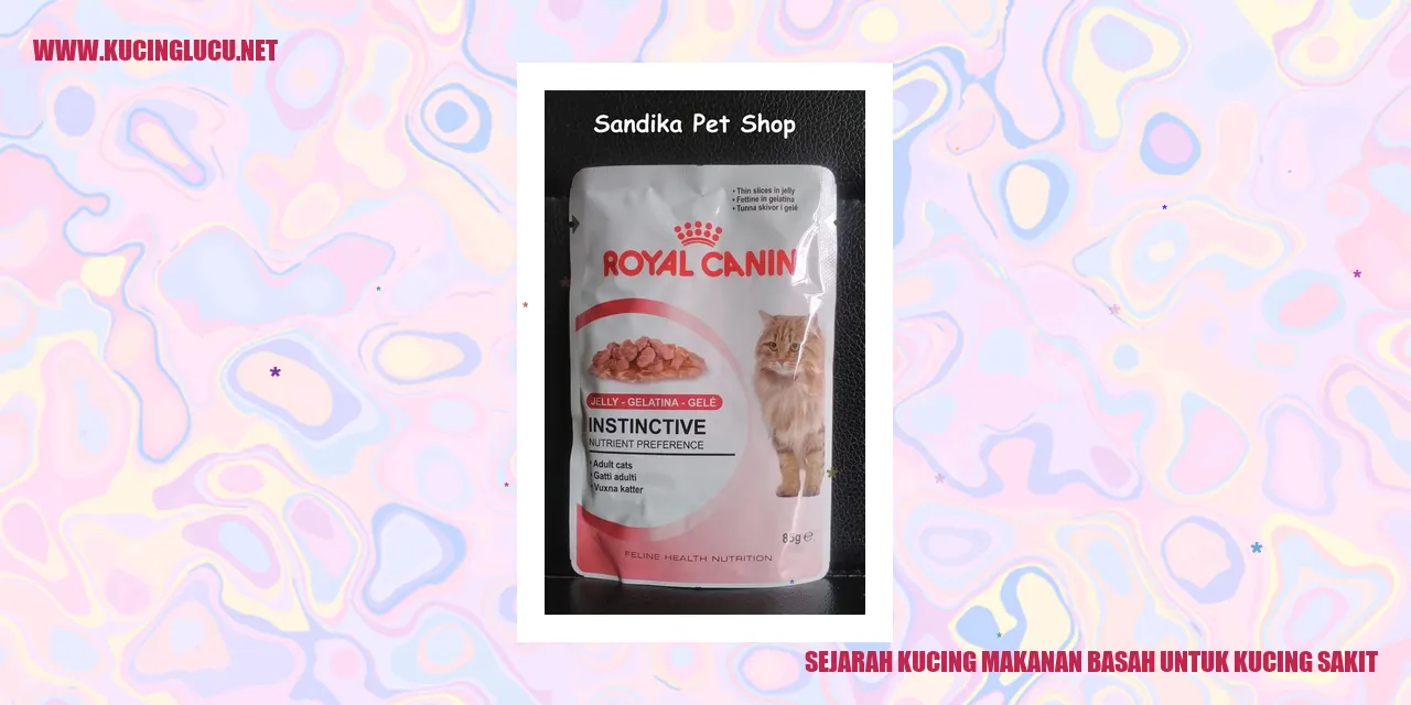 Kucing sakit
