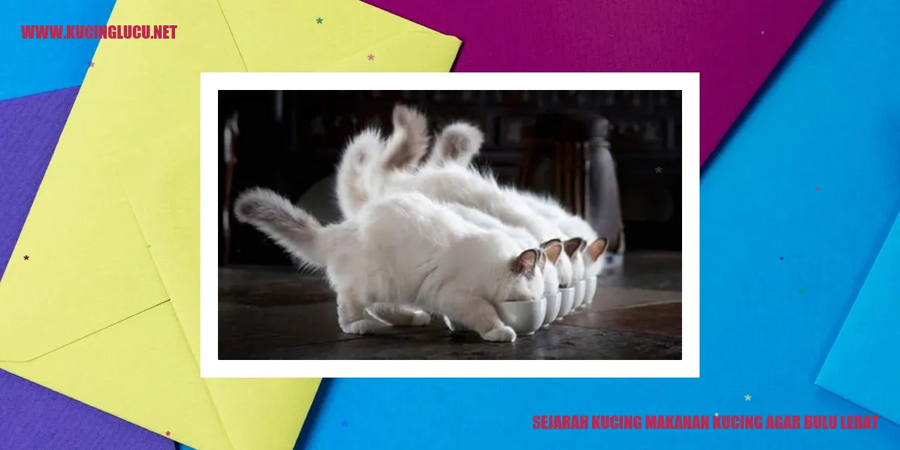 Gambar Kucing dengan bulu lebat