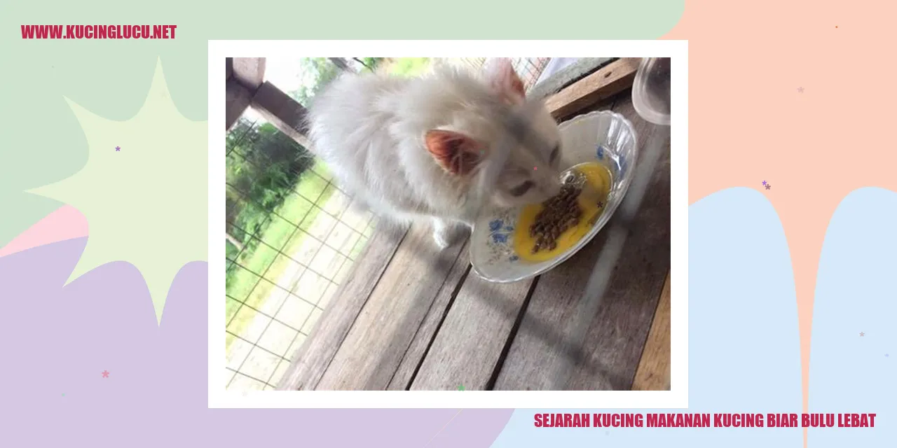 Sejarah Kucing dan Makanan Kucing untuk Bulu Mengembang