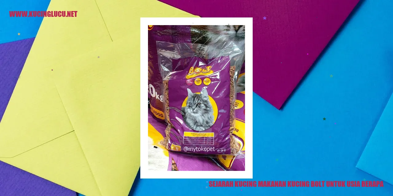 Gambar Kucing dan Makanan Kucing Bolt