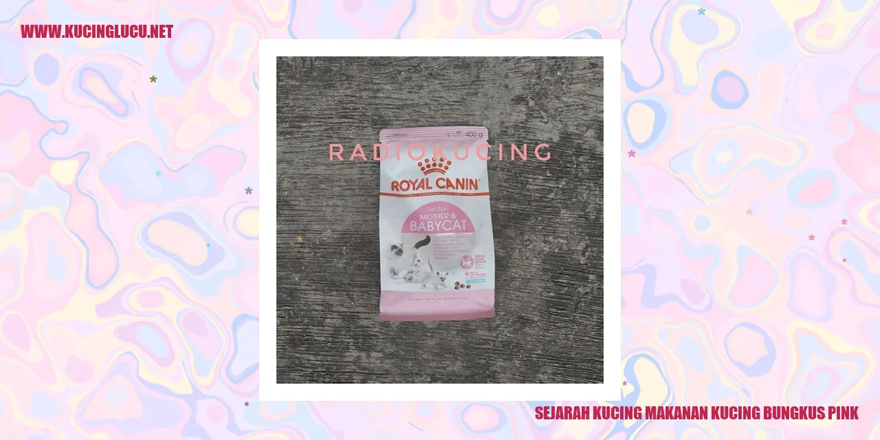 Kucing dan Makanan Bungkus Pink