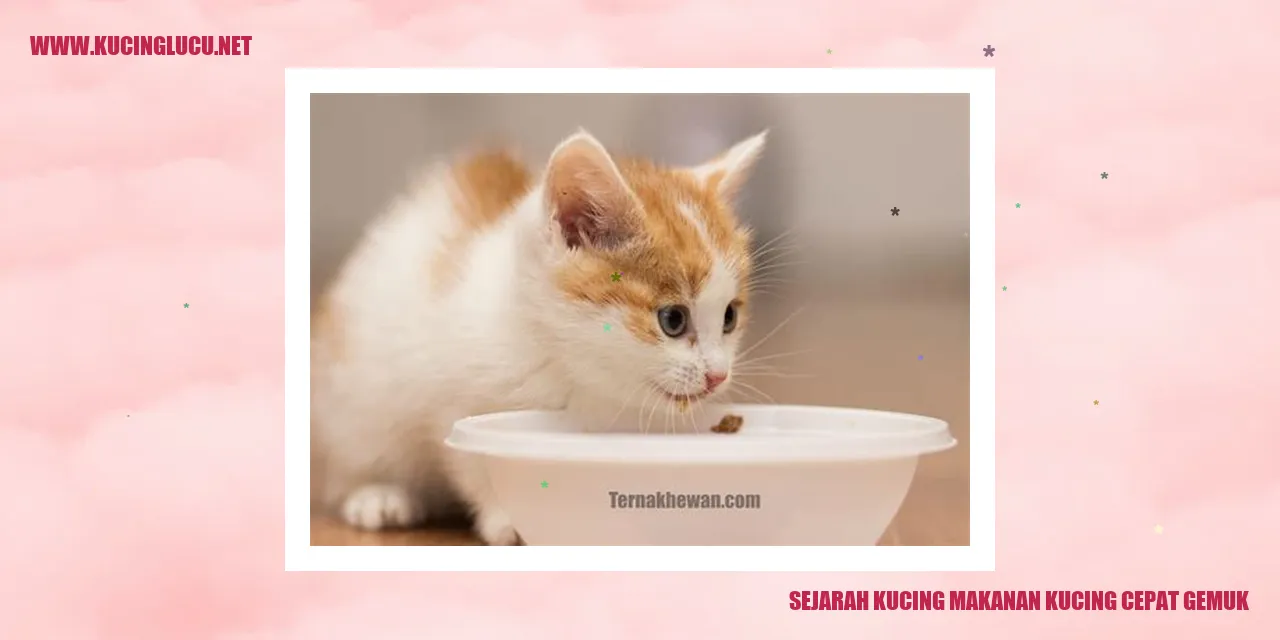 Sejarah Kucing Makanan Kucing Cepat Gemuk