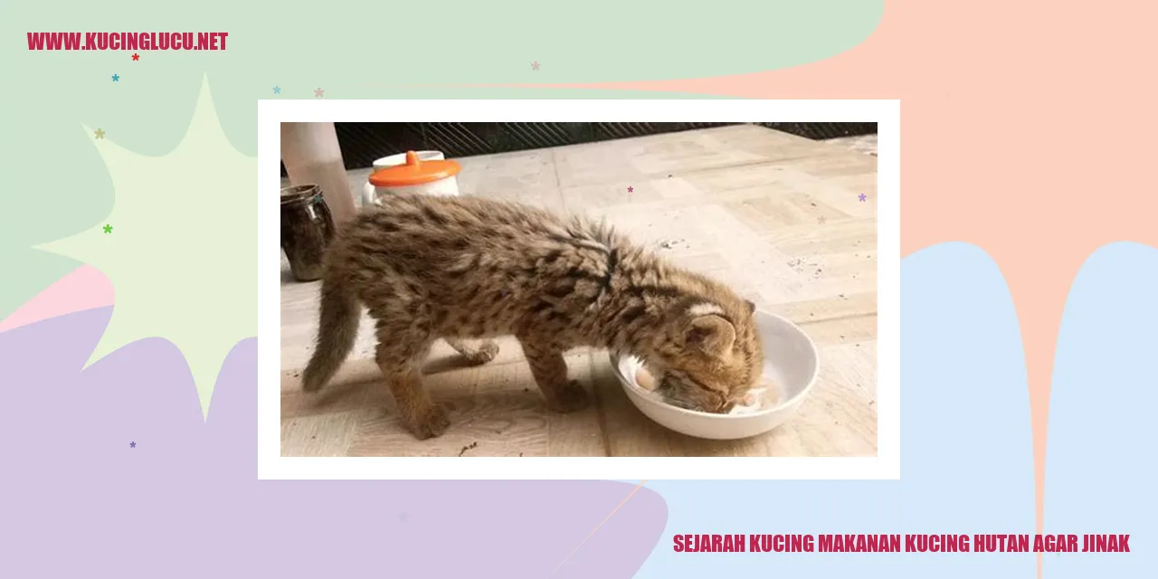 Sejarah Kucing Makanan Kucing Hutan Agar Jinak