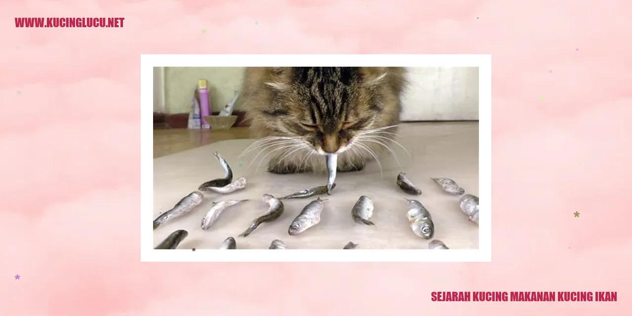 Kucing Makanan Kucing Ikan