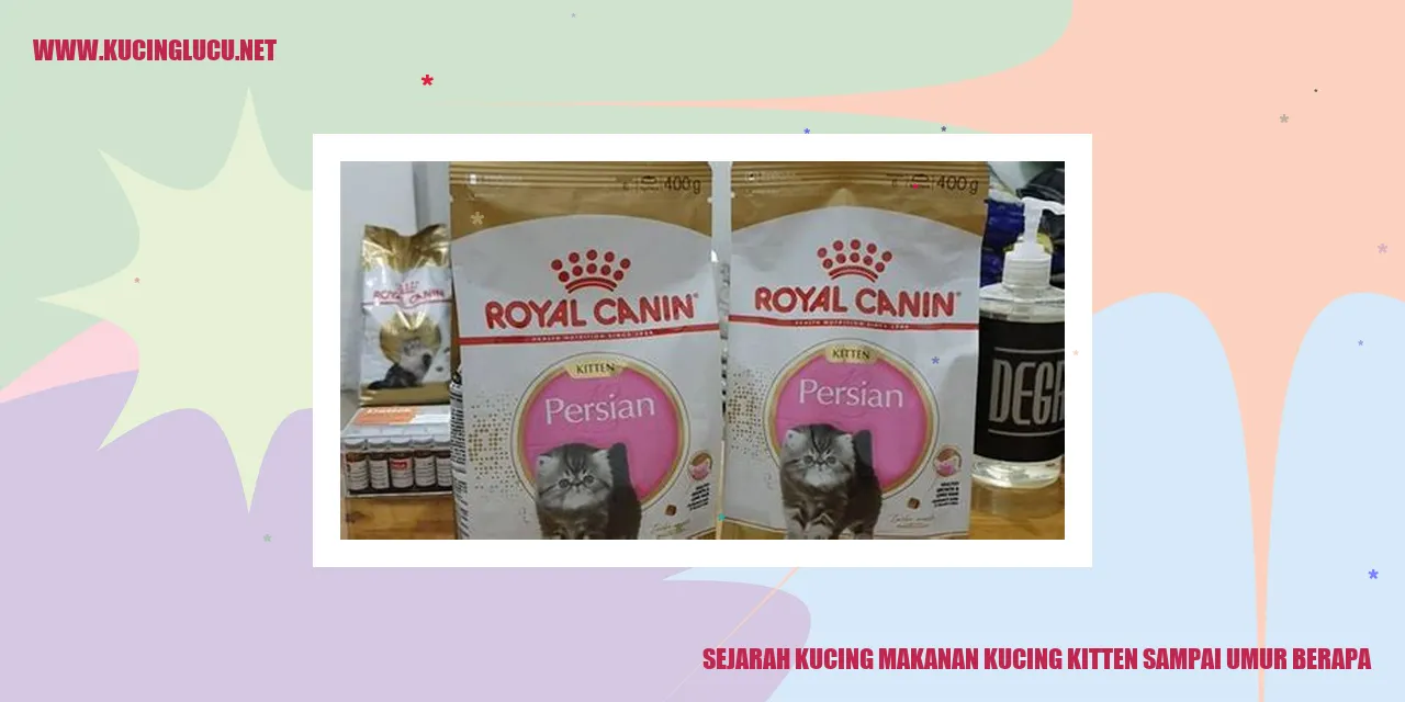 Ilustrasi makanan kucing kitten