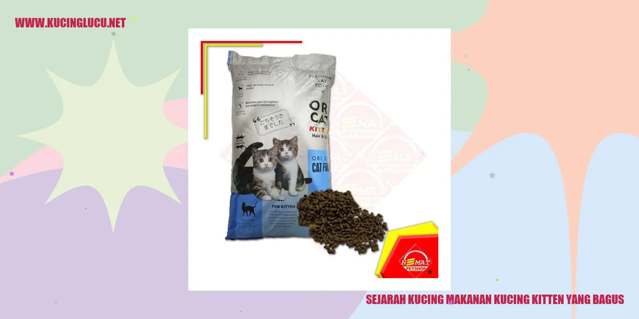 Gambar Kucing Kitten