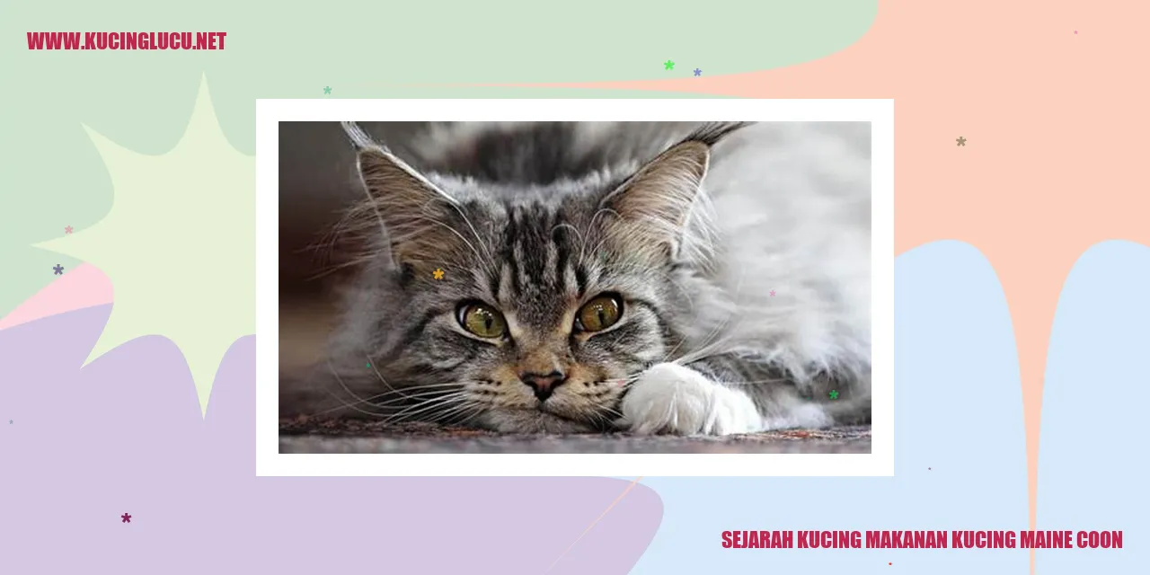 Sejarah Kucing makanan Kucing Maine Coon