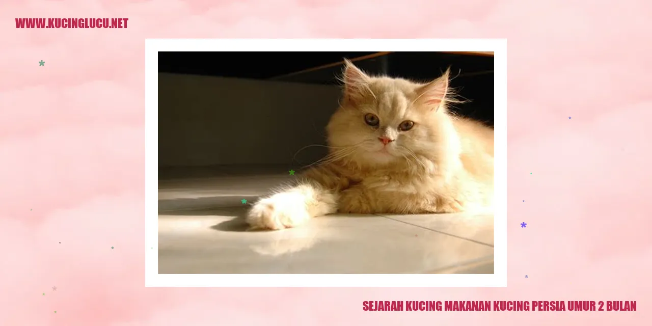 Gambar Kucing Persia