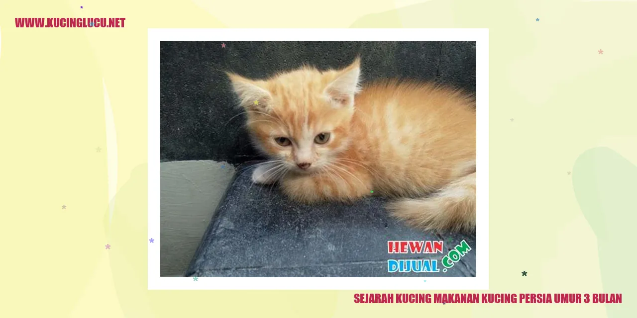 Kucing Persia