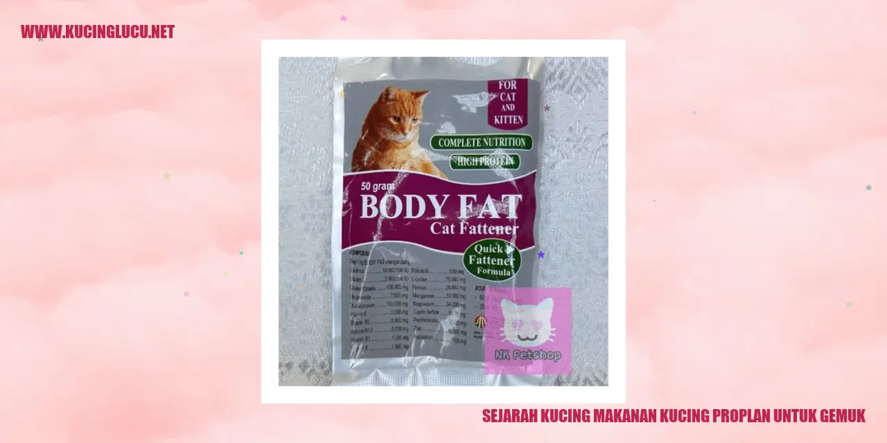 Gambar Kucing