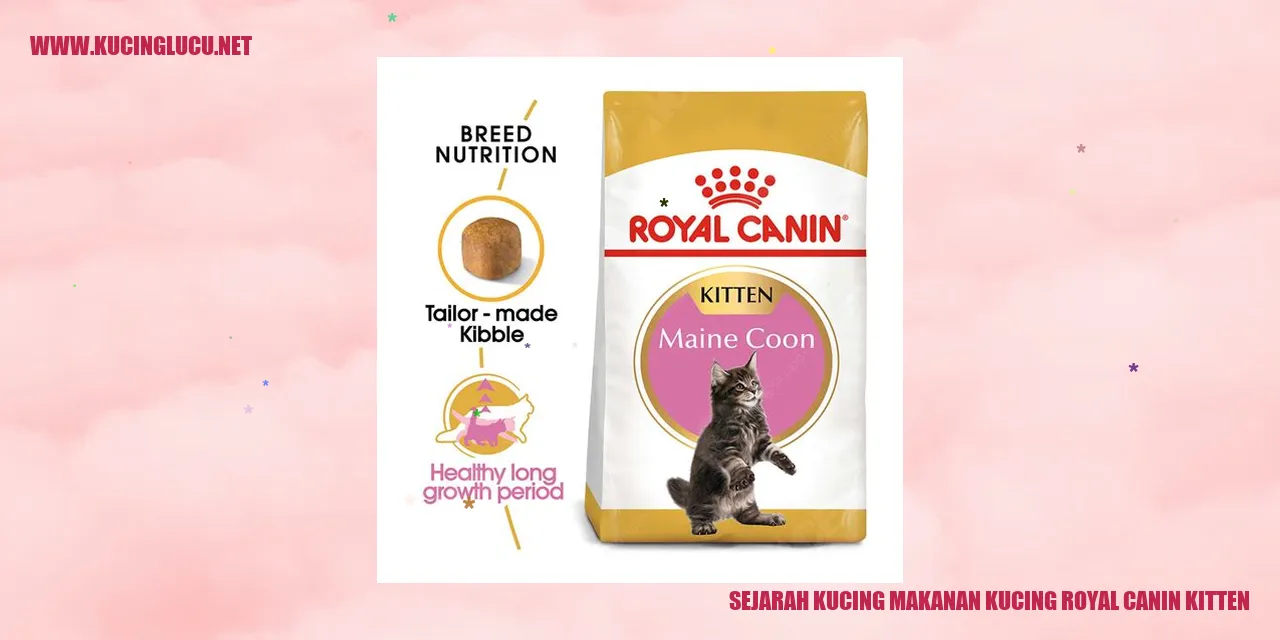 Kucing Royal Canin Kitten