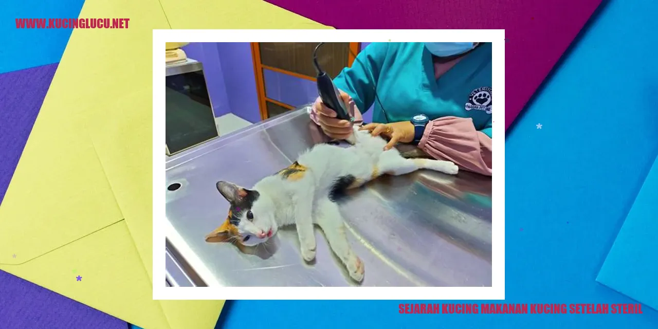 sejarah makanan kucing setelah steril