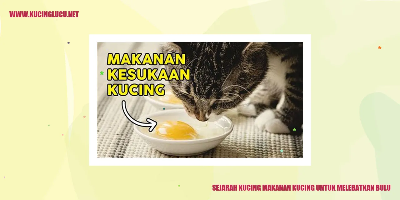 Kucing