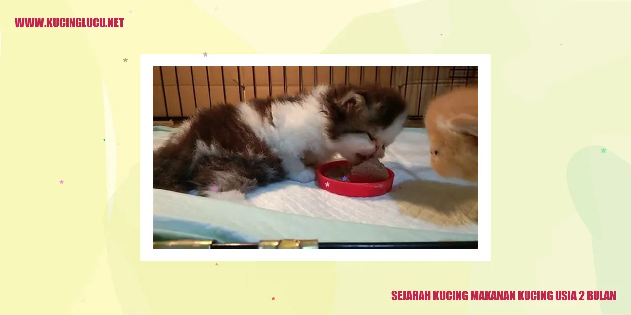 Sejarah Kucing Makanan Kucing Usia 2 Bulan