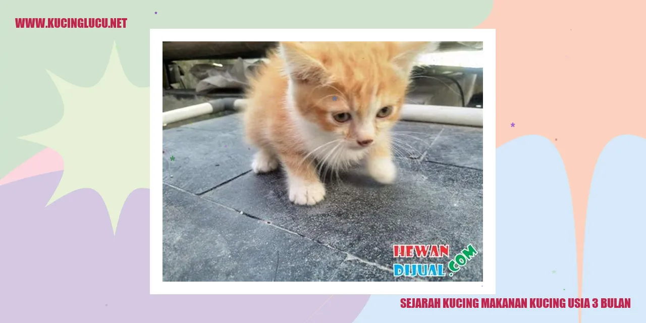 Sejarah Kucing