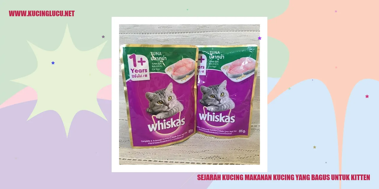 Sejarah Kucing dan Makanan Kucing yang Bagus untuk Kitten