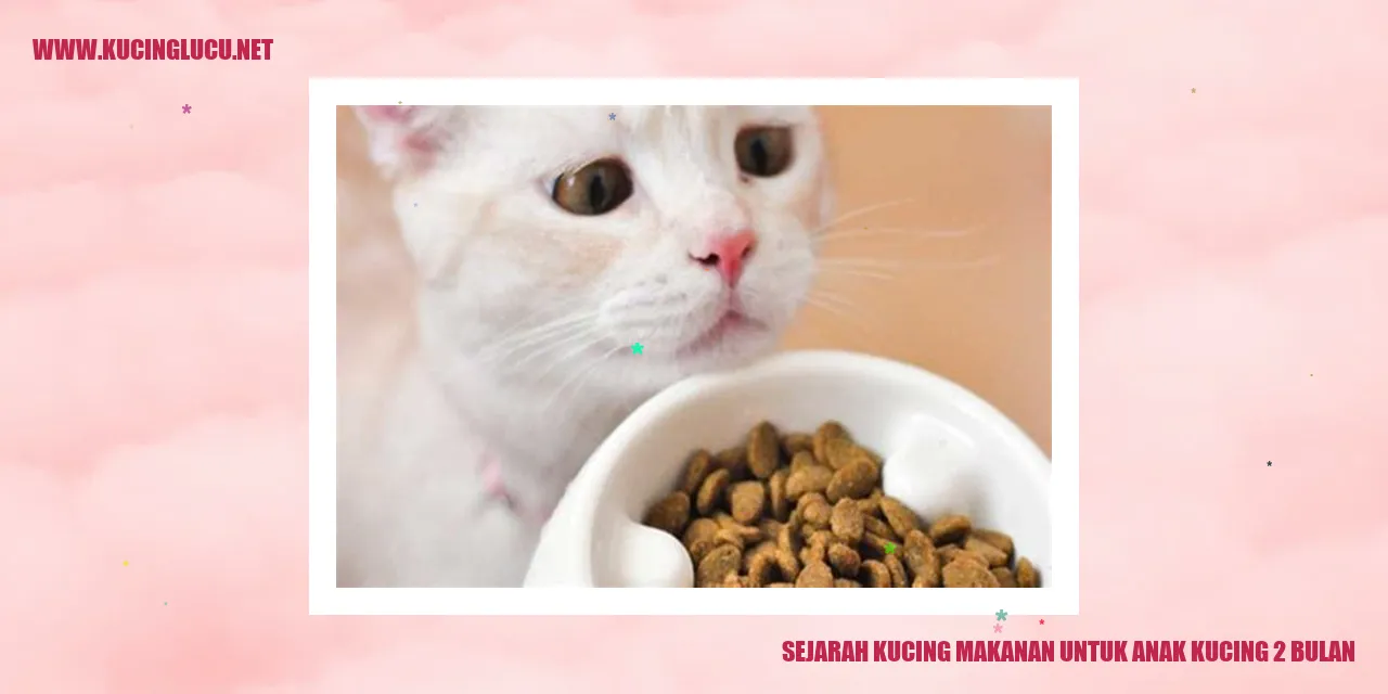 Ilustrasi Anak Kucing