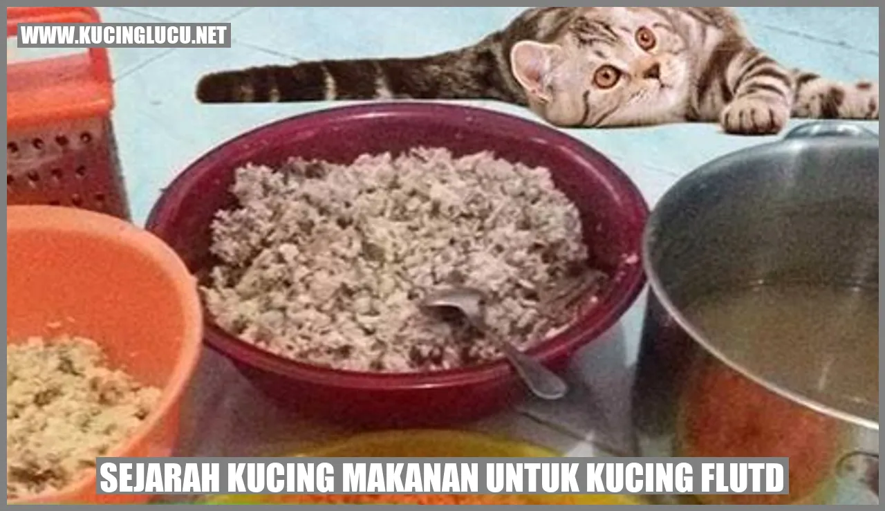 Sejarah Kucing Makanan untuk Kucing FLUTD