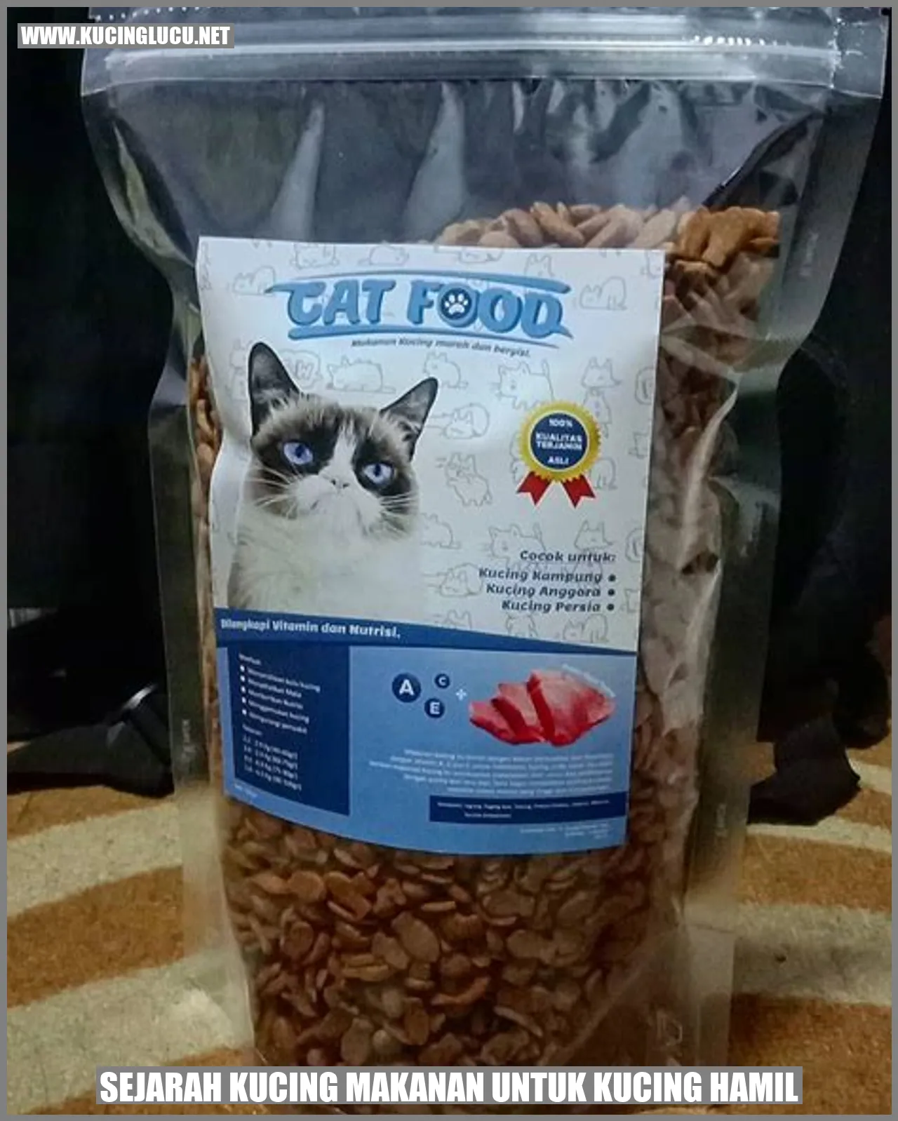 Gambar Kucing Hamil
