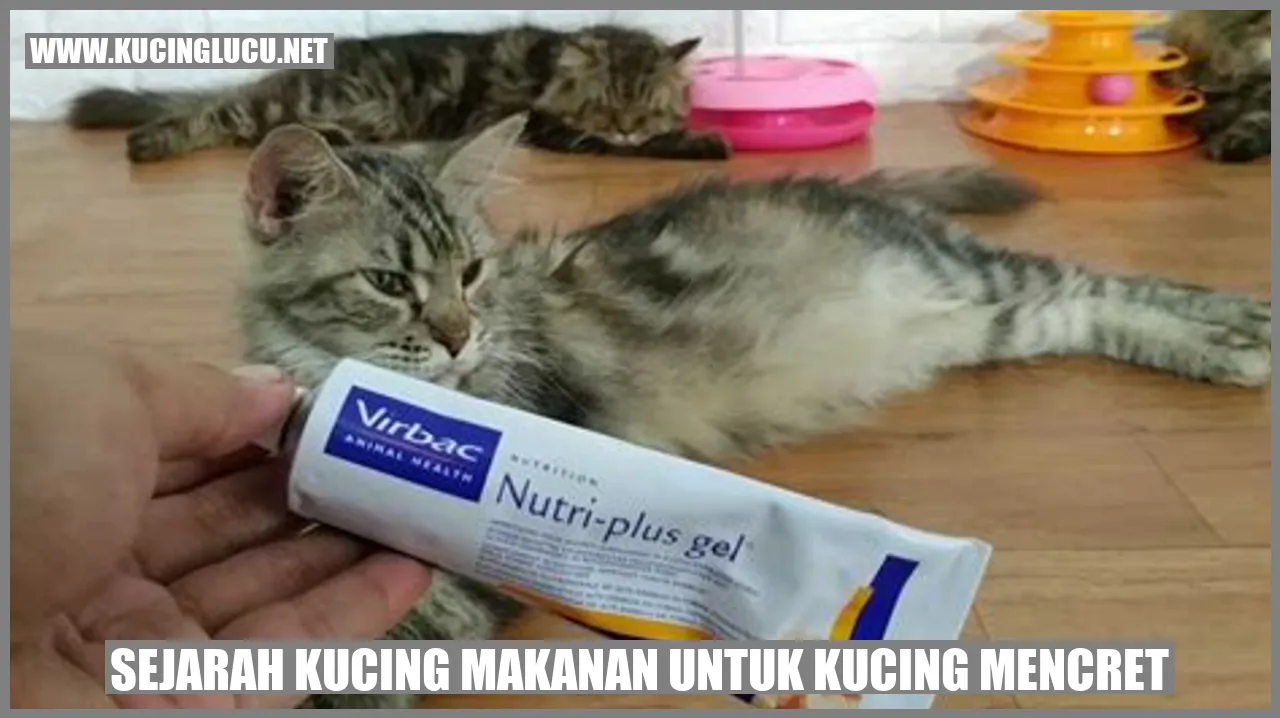 Sejarah Kucing Makanan