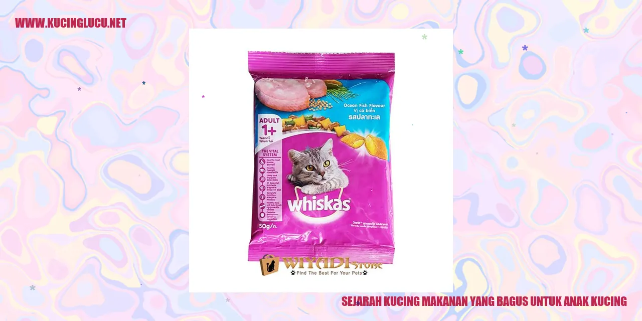 Makanan Kucing