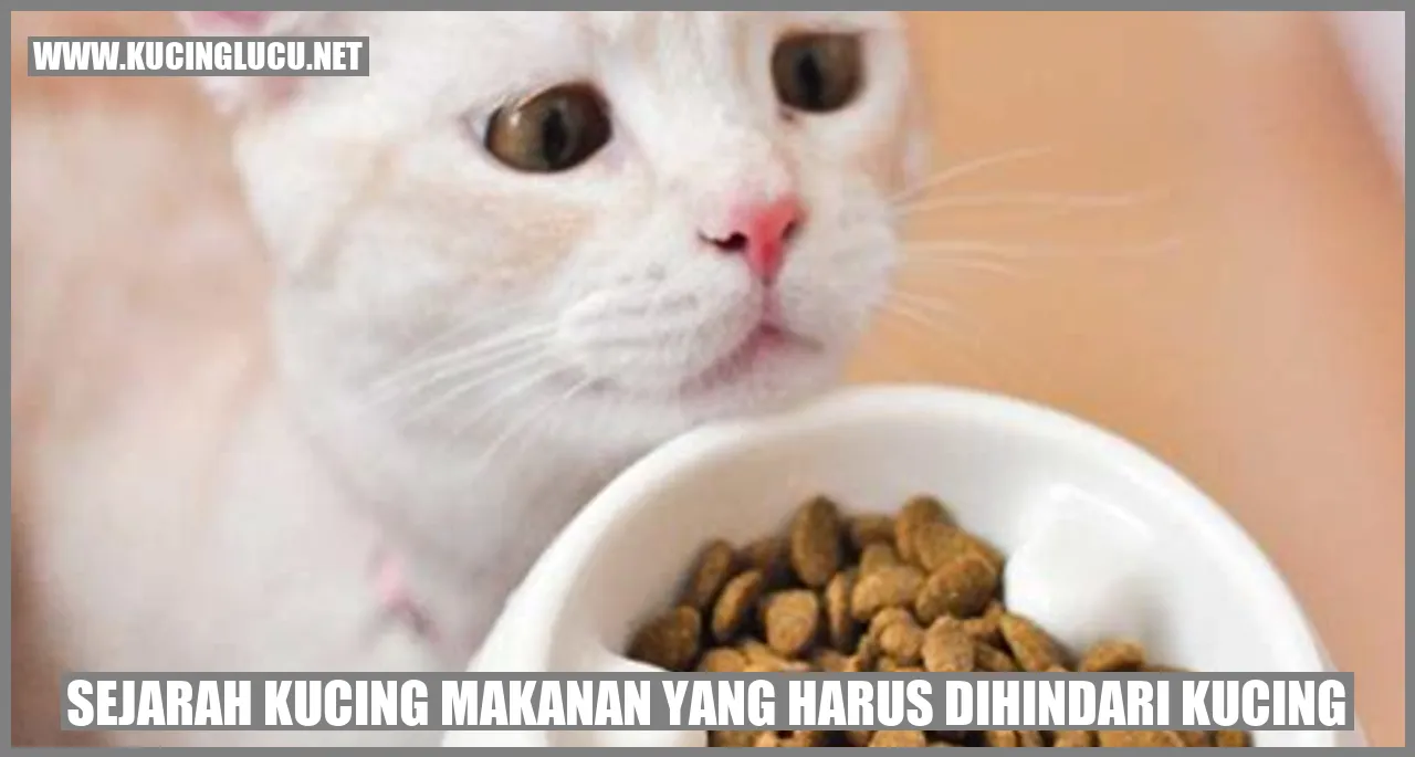 Gambar Makanan Kucing
