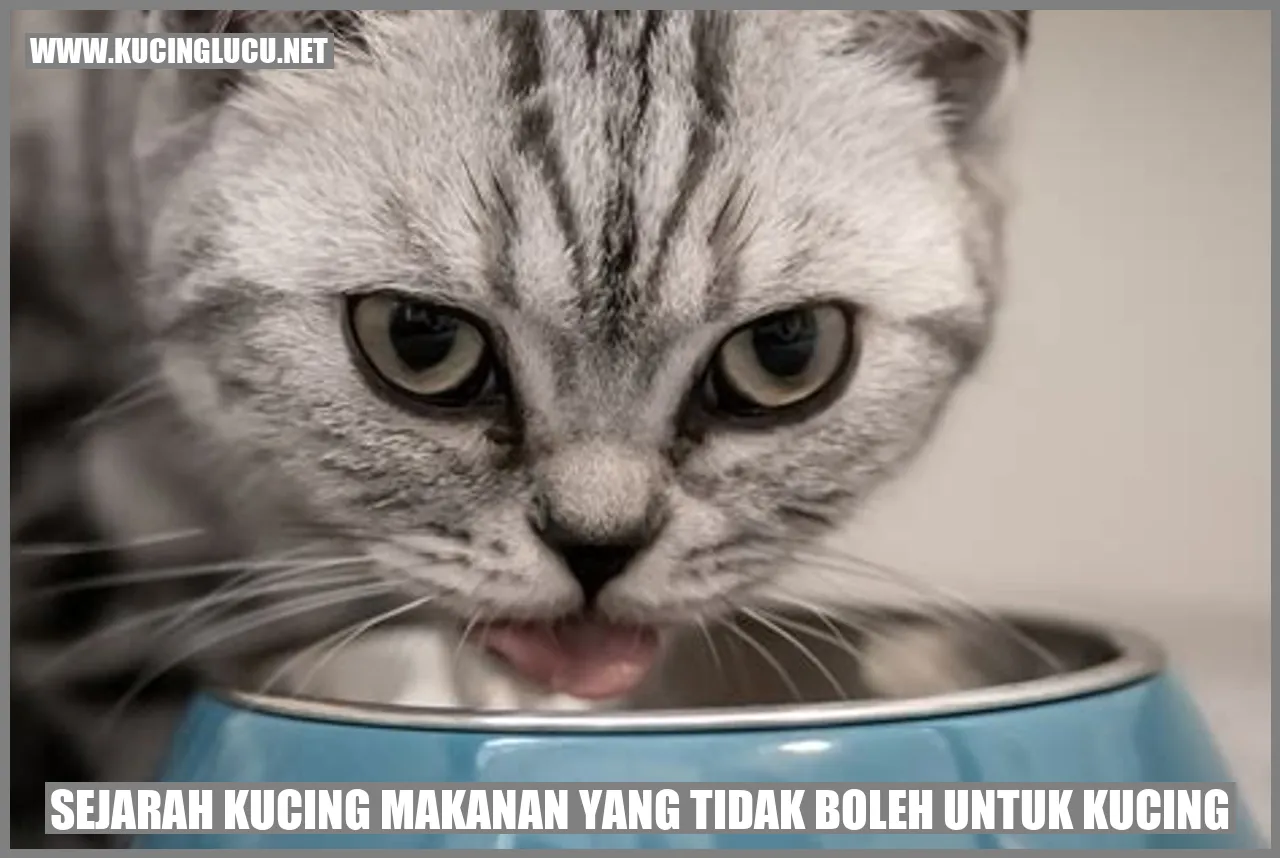 Sejarah Kucing Makanan yang Tidak Boleh untuk Kucing