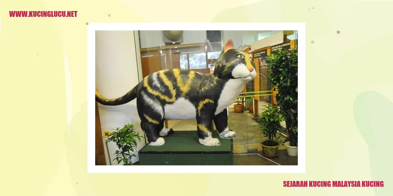 Gambar Kucing Malaysia