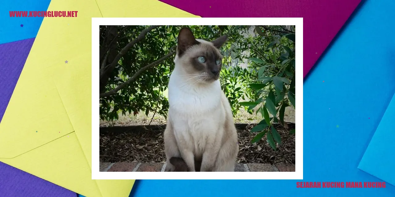 Sejarah Kucing