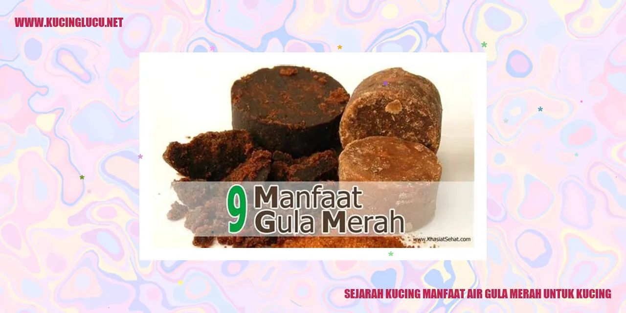 Sejarah Kucing manfaat air gula merah untuk kucing