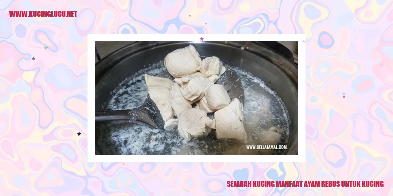 Sejarah Kucing Manfaat Ayam Rebus untuk Kucing