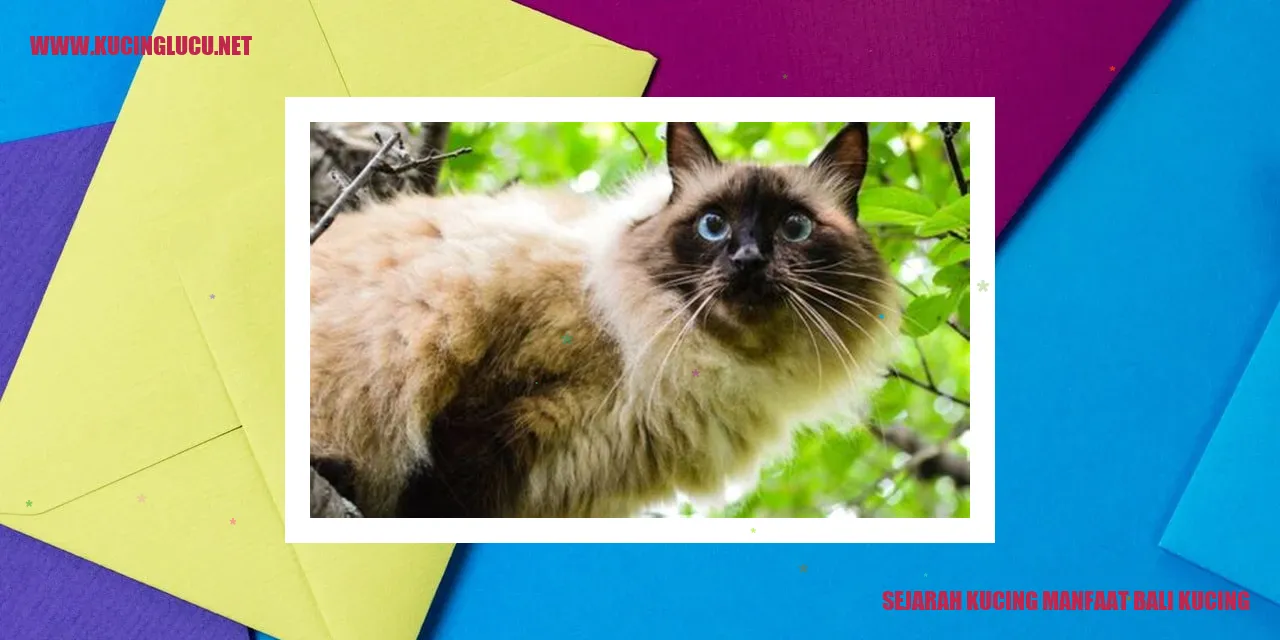 Sejarah Kucing dan Manfaat Kucing Bali