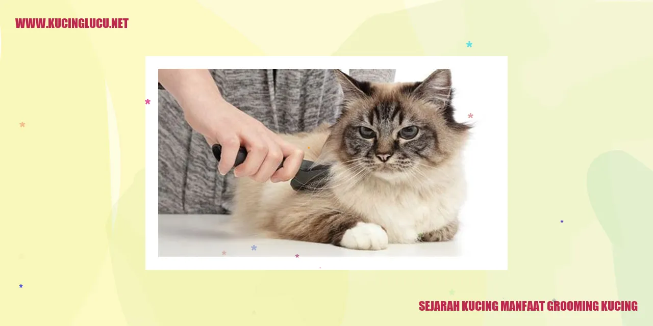 Kucing Manfaat Grooming
